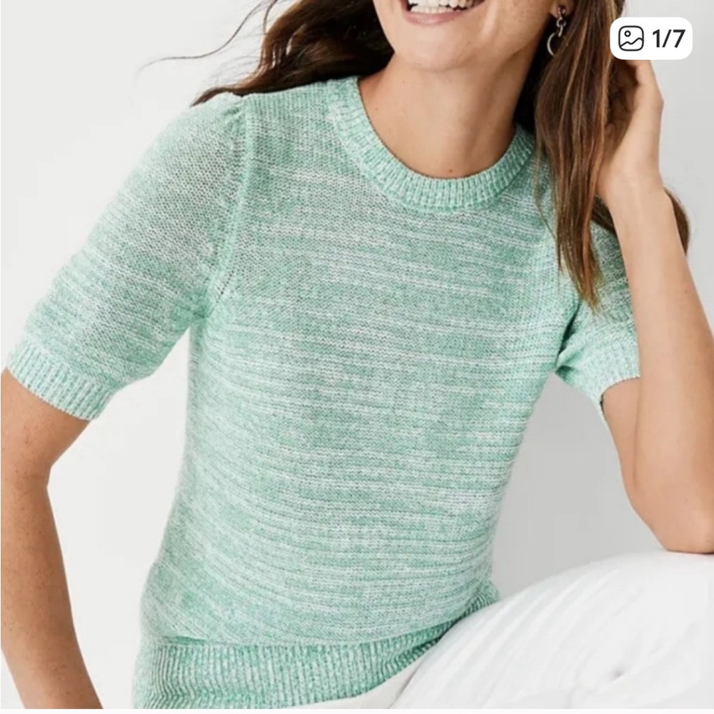 Ann Taylor Light Green Tweedy Sweater